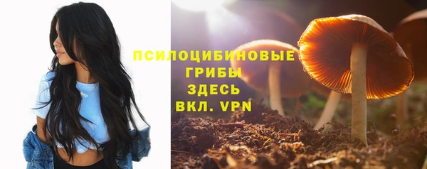 прущие грибы Алексеевка