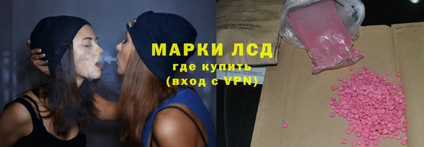 прущие грибы Алексеевка