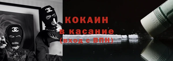 прущие грибы Алексеевка