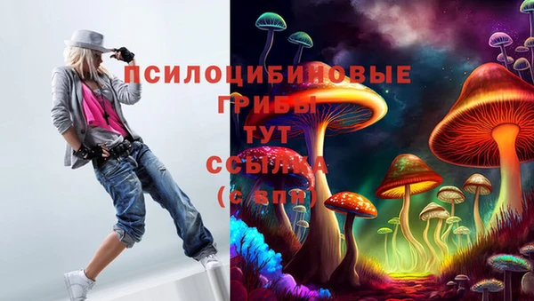 прущие грибы Алексеевка