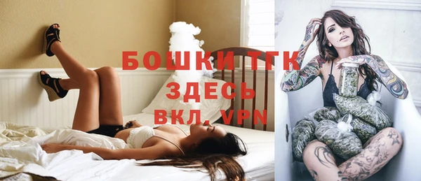 прущие грибы Алексеевка
