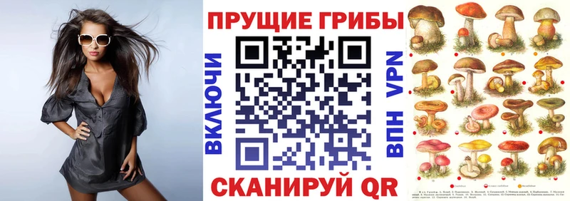 Псилоцибиновые грибы прущие грибы дарк нет формула Апрелевка где найти